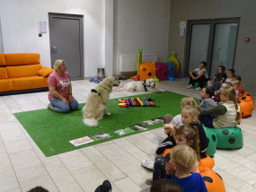 Cykle: Bezpieczny pies – bezpieczne dziecko