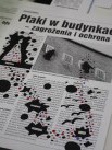 Dla bibliotekarzy: Kreatywna poezja i inne wykorzystanie tekstów nie tylko literackich - Zdjęcie nr 1