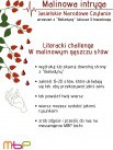 Literacki challenge 