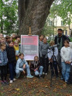 Festiwal: „Biodróże. Niewidzialni mieszkańcy miasta” – przyrodnicze warsztaty w Parku Miejskim - Zdjęcie nr 10